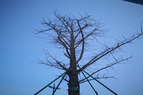 提“氣”質丨打造2.0版本，實現“大數據”精準治污