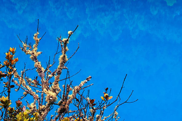 生態環境部部長黃潤秋出席COP30“中國角”系列邊會活動并會見外方高級代表