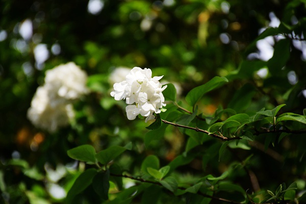 重慶市生態環境監測中心打造“美麗水源E衛士”系統：守護超大城市飲水安全防線