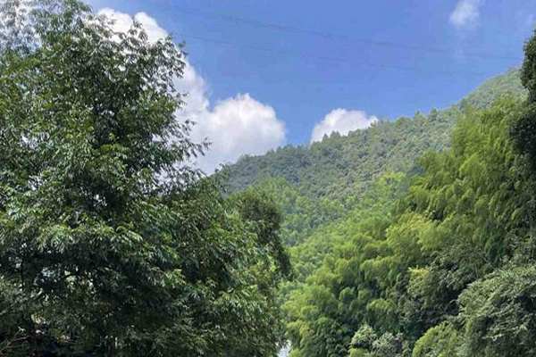 寧夏“十五五”規劃建議出爐 加快經濟社會發展全面綠色轉型